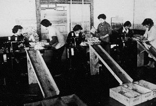 広島工場で米軍特需弾薬の製造開始（105㎜砲弾）